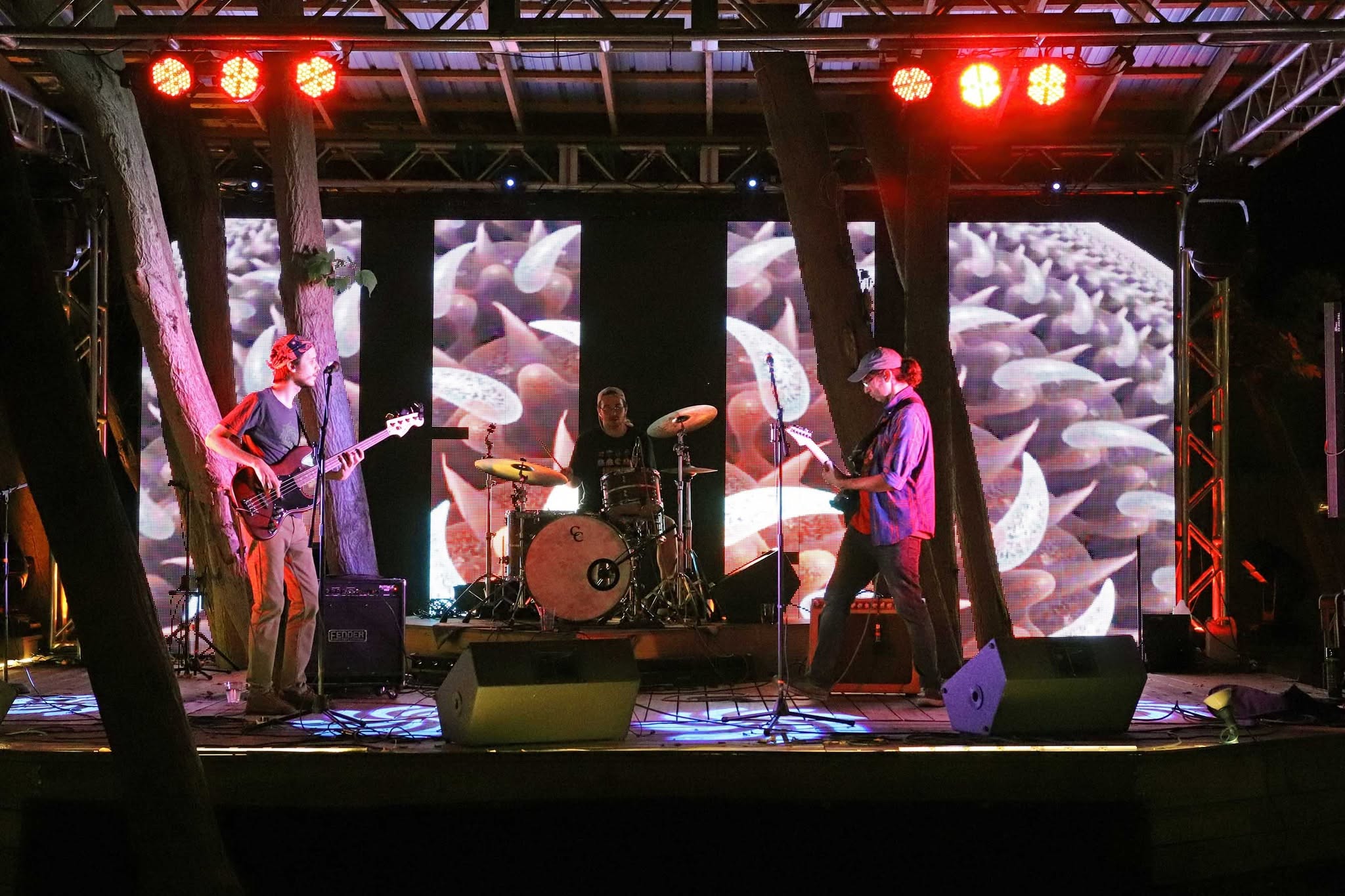 Hounds and Horns band photo
